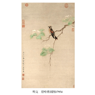 明文俶碧叶绣羽图古代花鸟画卷轴国画字画复制品仿古名画中式挂画