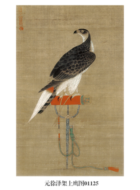 元徐泽架上鹰图古代花鸟画卷轴