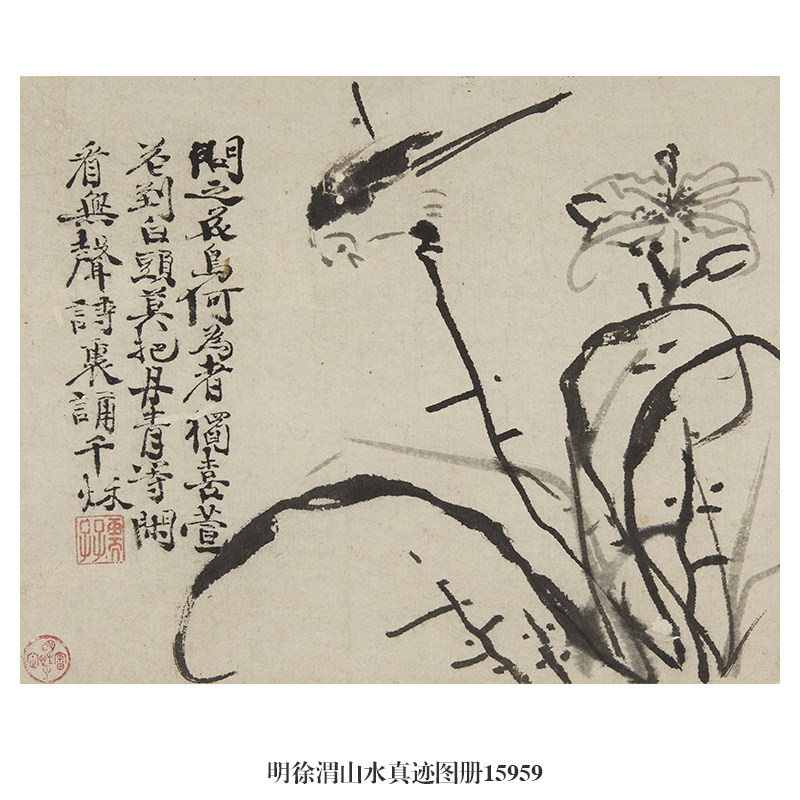 明徐渭山水真迹图花鸟画卷轴文人画国画字画名画复制品仿古画挂画