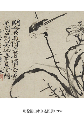 明徐渭山水真迹图花鸟画卷轴文人画国画字画名画复制品仿古画挂画