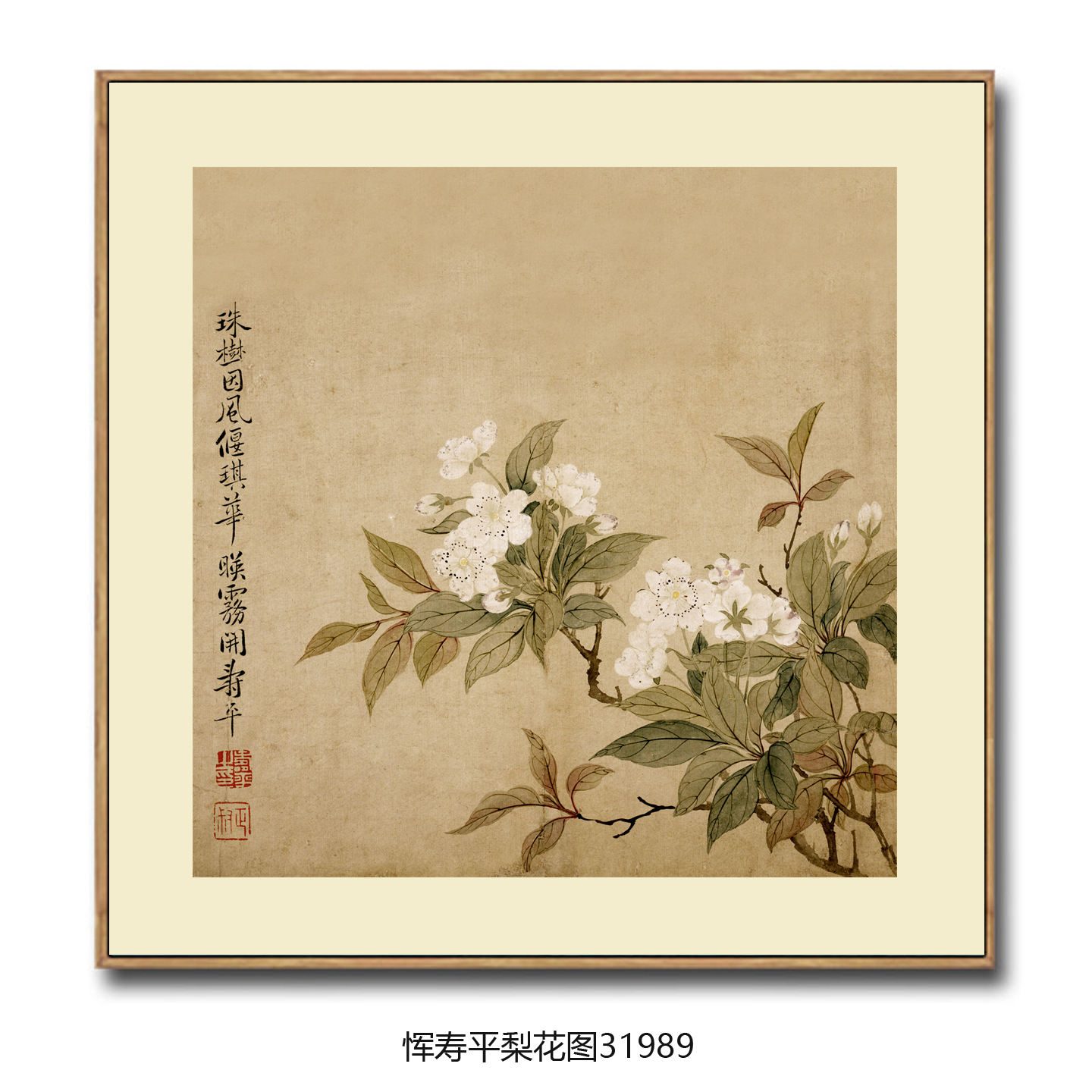 恽寿平梨花图花鸟画仿古名画客厅玄关卧室茶楼挂画字画中式装饰画
