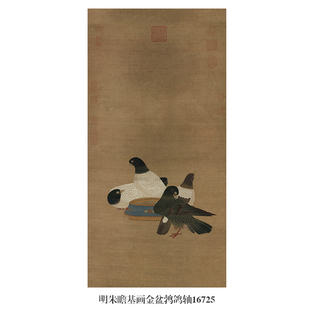 明朱瞻基画金盆鹁鸽轴花鸟画微喷仿古画复制品竖幅名画装饰画挂画