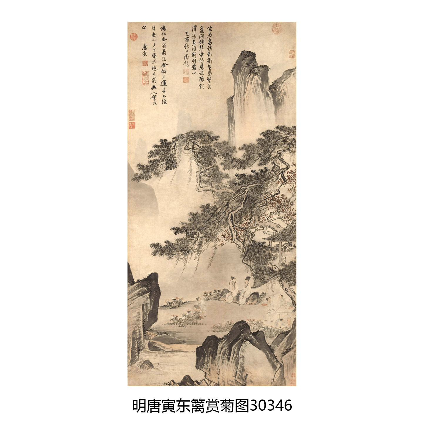 明唐寅东篱赏菊图唐伯虎山水画国画临摹范本艺术微喷画稿卷轴挂画