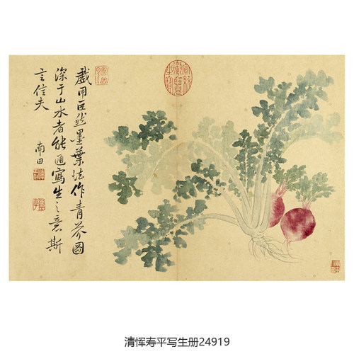 清恽寿平写生册吉祥花鸟画装饰画