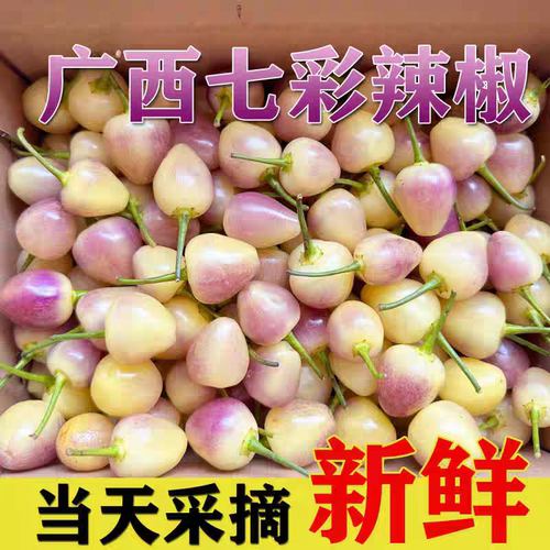 广西特产七彩辣椒七彩椒五彩椒新鲜蔬菜可选5斤五彩泡椒灯笼椒