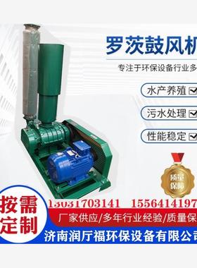 新款RTSR80型三叶罗茨鼓风机增氧机大功率增氧泵曝气鼓风机污现货