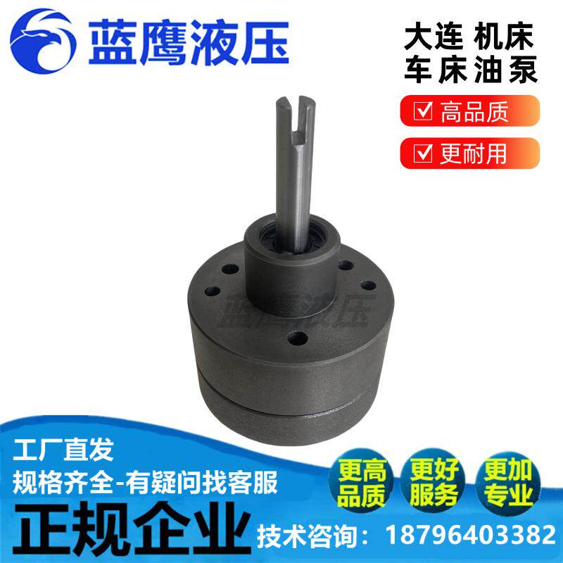 新款大连机床厂油泵CD6140A/6150/CDE6250车床SNBY2.5床头箱包邮