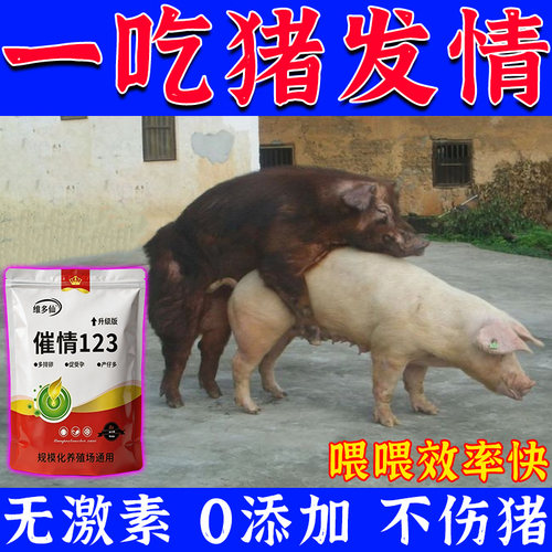 母猪发情的药牛羊马用发情粉配种药诱情剂促孕排卵多胎素发情散