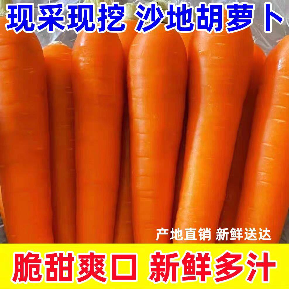 沙地新鲜蔬菜水果农家自种现挖带泥胡萝卜新鲜红萝卜脆甜营养健康 - 农产品菜市场批发出品