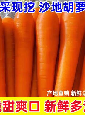沙地新鲜蔬菜水果农家自种现挖带泥胡萝卜新鲜红萝卜脆甜营养健康