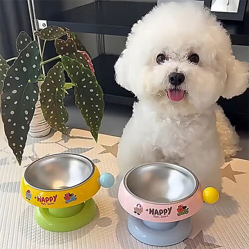 狗盆狗碗宠物猫咪狗狗饭碗喝水碗不锈钢盆防滑不打翻保护颈椎猫碗