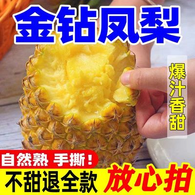 爆甜海南金钻凤梨新鲜水果当季正宗特级菠萝手撕10斤大果整箱