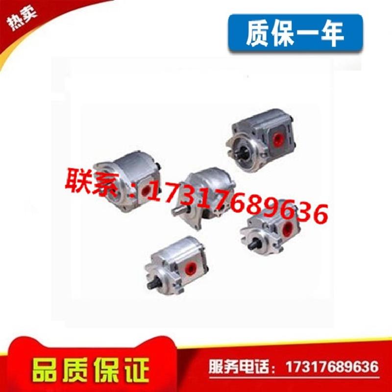 新款齿轮泵1AG1P01R/1GG1P01R/02R/03R/04R/05R/06R/08R/09R包邮