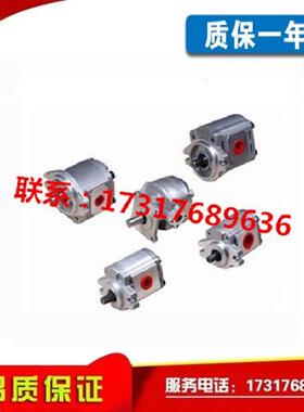 新款齿轮泵1AG1P01R/1GG1P01R/02R/03R/04R/05R/06R/08R/09R包邮