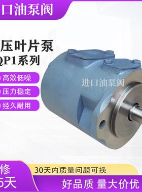 新款打包机油泵SQP1叶片泵SQP2注塑SQP3液压泵TOKIMECC高包邮