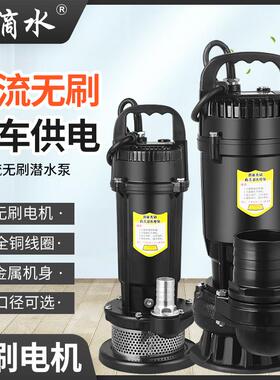 新款无刷直流潜水泵48V60V72V通用电动电瓶车泵农业灌包邮