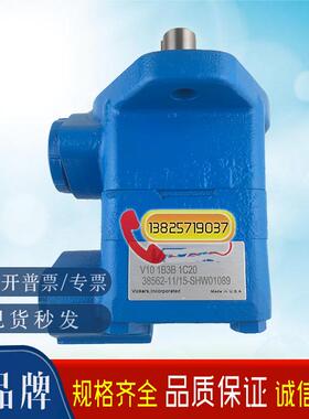 新款液压打包机叶片泵V10-1B2B-1B-20注塑机油泵V10-1P4P-1C-包邮