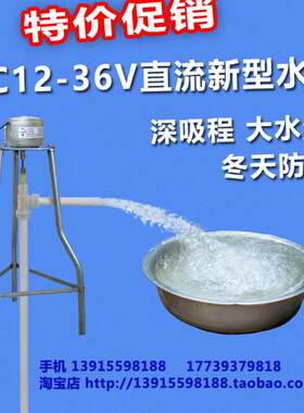 新款特价促销  DC12-24V直流电软轴泵抽水机深井泵潜水泵螺杆包邮