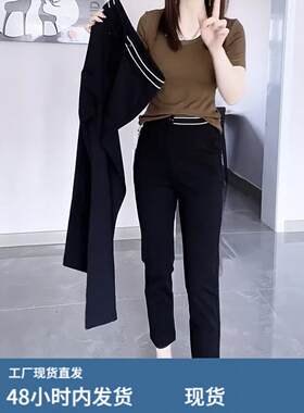 高腰弹力西装休闲裤女大尺码2023秋季新款小个子九分直筒烟管烟管