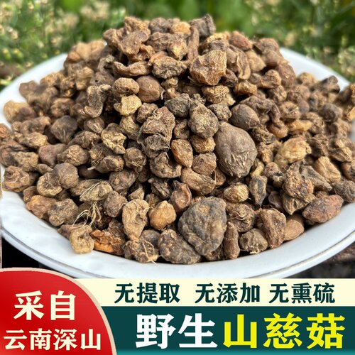野生山慈菇茅毛慈菇山茨姑冰球子中药材磨粉无硫云南新鲜正品干货