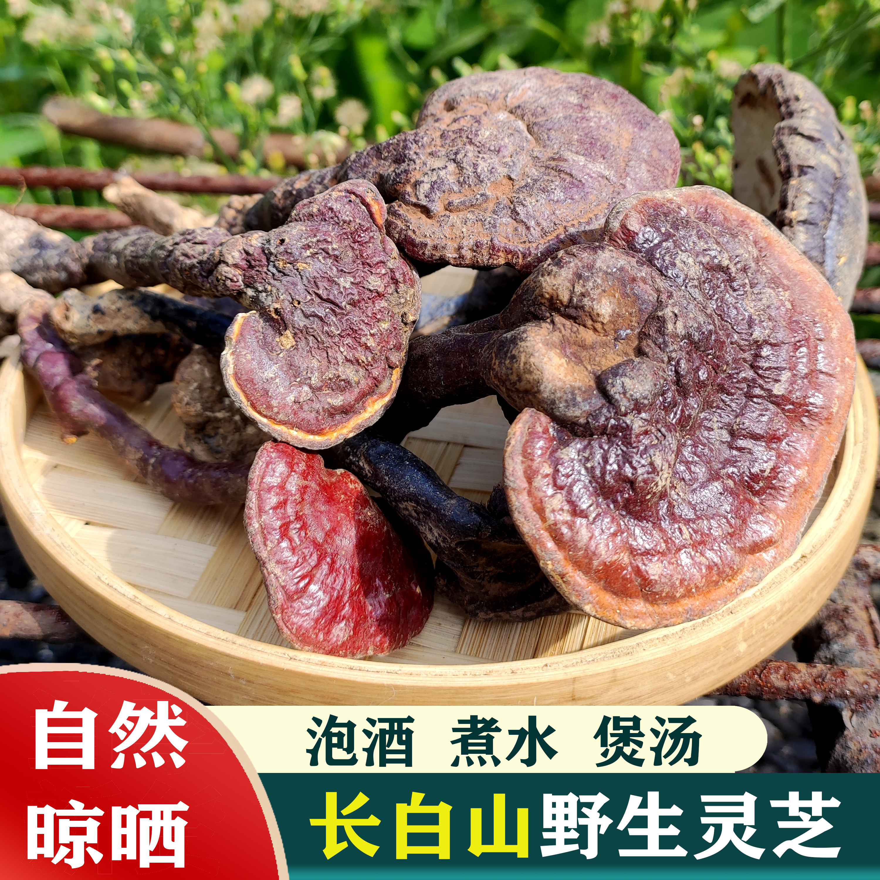 野生灵芝正宗干货泡酒整朵