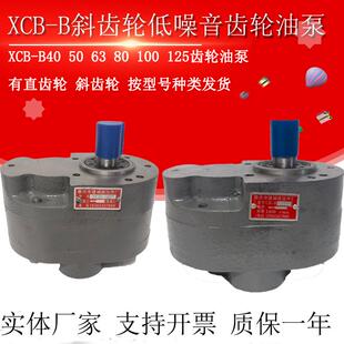 B100 B40 包邮 XTCB润滑泵T B125齿轮油泵XCB B80 B63 B50 XCB 新款
