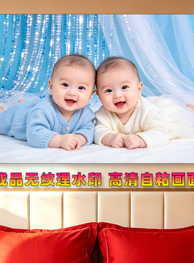 龙凤胎宝宝画胎教自粘画墙贴壁纸
