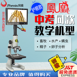 江西凤凰正品 中小学生显微镜XSP02儿童中考科学实验640倍精子水产