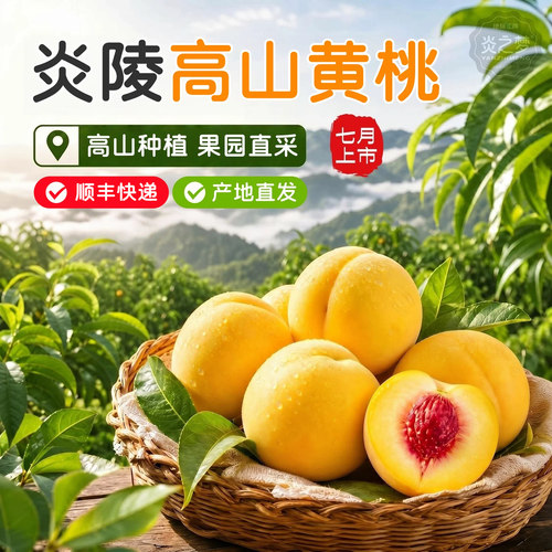 湖南炎陵锦绣黄桃脆甜高山大桃子
