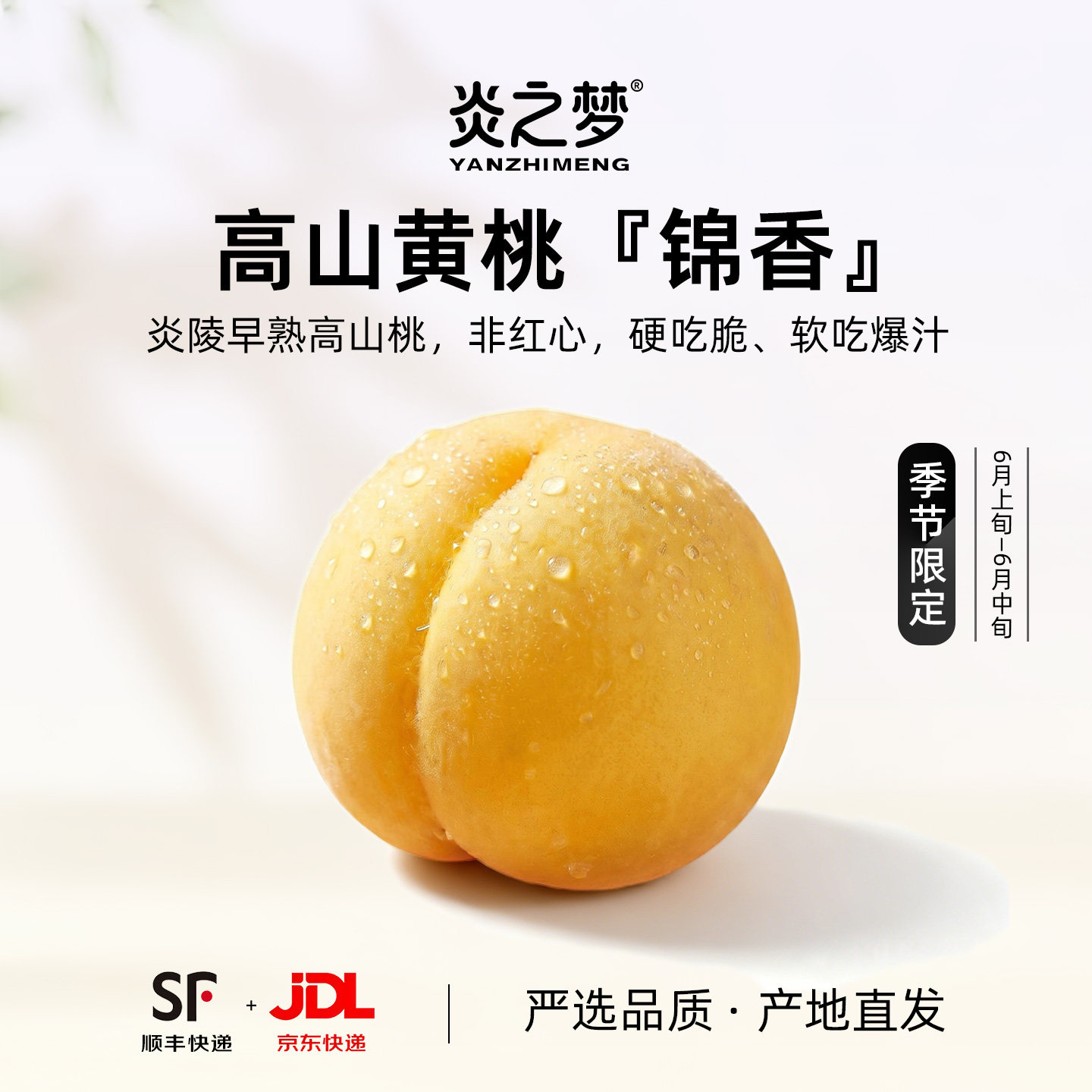 现摘湖南炎陵高山锦香黄桃早熟桃子毛桃香甜多汁新鲜水果产地直发