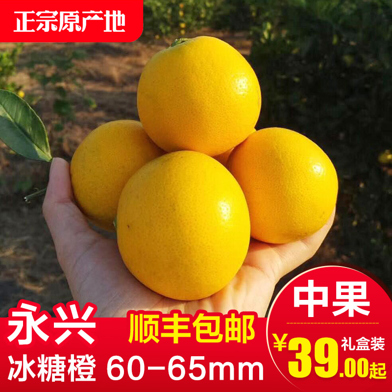 正宗湖南永兴冰糖橙60-65mm中果新鲜水果超甜郴州橙子现摘现发在类目 水产肉类/新鲜蔬果/熟食, 新鲜水果, 橙中 - 来自Buy2taobao.com提供专业的淘宝代购服务
