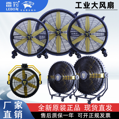 雷豹移动风扇EF4822D工业落地扇