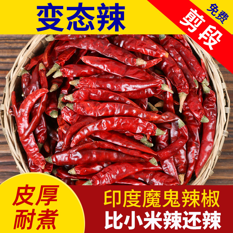 变态印度魔鬼干货500克超小米辣