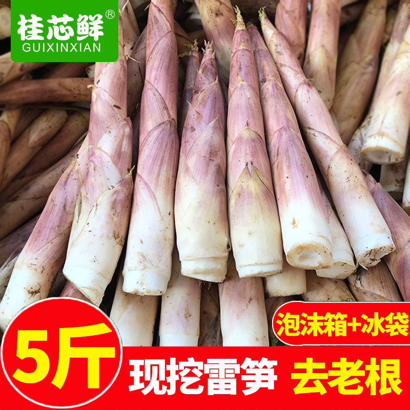 新鮮冬筍春筍雷筍現挖雷竹筍油焖筍腌笃筍5斤裝非臨安天目山雷筍在類目 水產肉類/新鮮蔬果/熟食, 新鮮蔬菜/蔬菜製品, 新鮮蔬菜, 竹筍中 - 來自Buy2taobao.com提供專業的淘寶代購服務