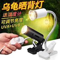 Черепаха задняя часть света UVB отопление UVA Керамическая отопление черепахи Поставляется на солнечную лампу