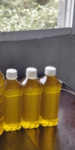 湘西林三山茶油原油 250毫升