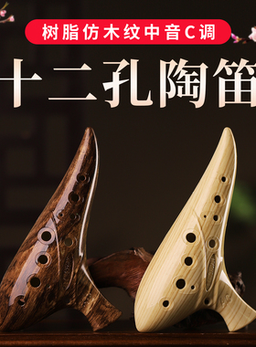 陶笛乐器12孔专业演奏中音C调送教材小学生专用AC调成人儿童通用