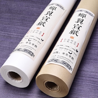 半生熟雁皮蝉翼长卷宣纸毛笔字书法临帖小楷行楷手札书法作品创作专用日课纸工笔线描临摹仿古白色蝉衣皮纸