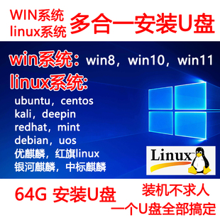 8国产系统安装 linux系统U盘 机 win11 U盘多合一系统盘pe启动装