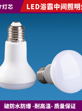浴霸中间照明灯泡LED卫生间小灯泡E27通用取暖钨丝灯防水防爆R63