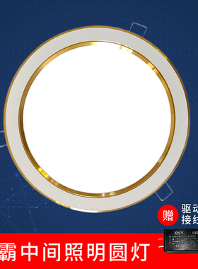 led灯板浴霸中间圆灯集成吊顶8寸7寸面板照明光源可替换灯芯配件