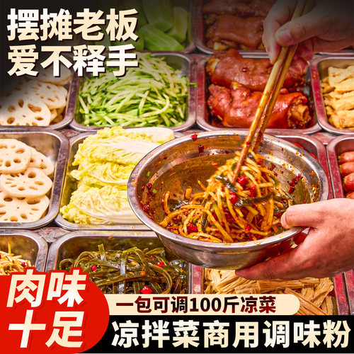 红员外凉拌菜专用调料500g