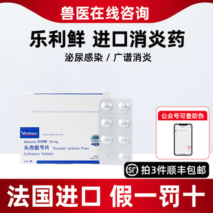 维克乐利鲜宠物头孢氨苄片狗猫皮肤病尿路感染猫咪狗狗消炎药猫藓