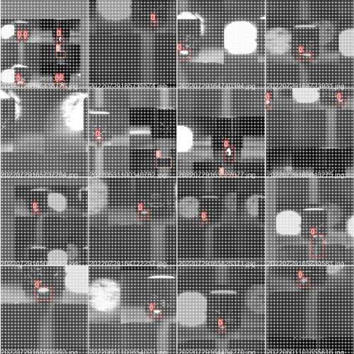 yolov5目标检测/图像分类/实例语义分割部署和源码Python/C++/C#