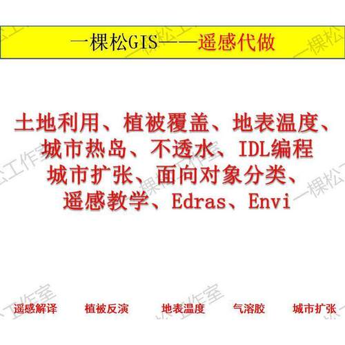 ARCGIS代做遥感解译GIS作图制图空间自相关可达性分析插值