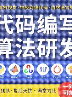 python代编程深度学习代做代码指导调试算法改进模型创新程序跑通