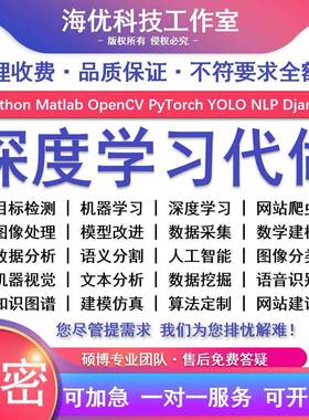 python深度学习指导代编程yolo目标检测图像分类知识图谱姿态估计