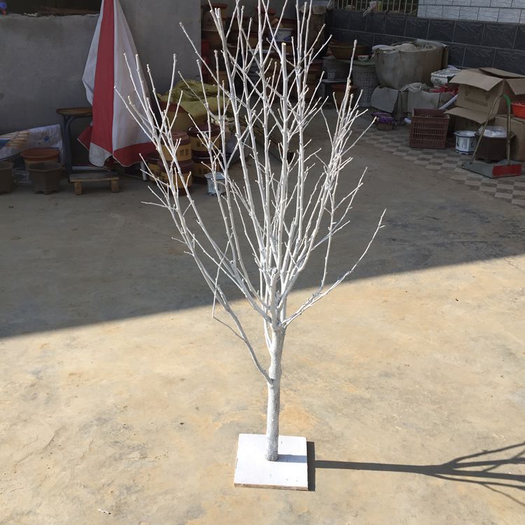 天然香樟许愿树摆件造型树枯树枝白树枝婚庆婚礼活动装饰道具包邮