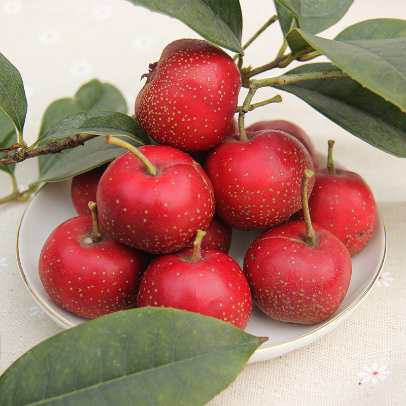 新鲜大山楂果现摘现发带箱3斤装生山楂山里红果糖炒山楂冰糖葫芦|ruв категории водной мясо/свежие фрукты и овощи/еда, свежие фрукты, другие - от Buy2taobao.com для оказания профессиональной услуги покупки агента Taobao