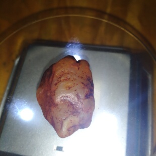 寿山田黄你好』一元拍精品—福建寿山田黄原石挂件捡漏